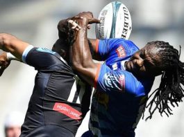 United Rugby Championship Stormers 40-3 Cardiff Rugby