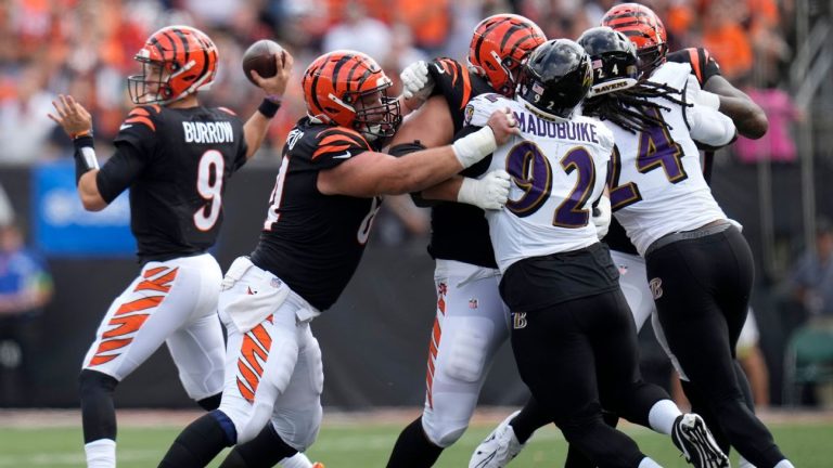Have Bengals carried out sufficient to guard Joe Burrow?